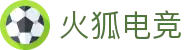 火狐电竞 - 助你从观赛到懂赛的进阶指南